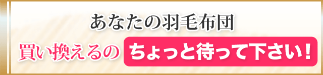 あなたの羽毛布団買い換えるのちょっと待って下さい！